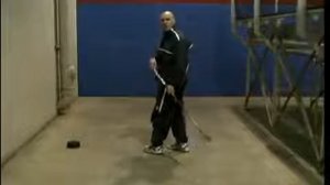 Шон Скинер Мастерство владения клюшкой Диск №6.2