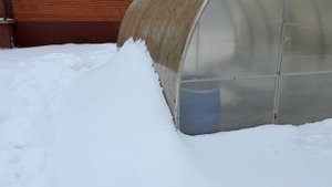 ПРЯМОСТЕННАЯ ТЕПЛИЦА после снежной зимы. Какую теплицу выбрать: прямостенную или дугообразную