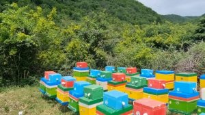 10 июня 2022 г.