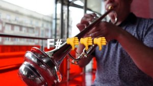 Tom Crown 30T CUP Mute. Сурдина для трубы "грибок"