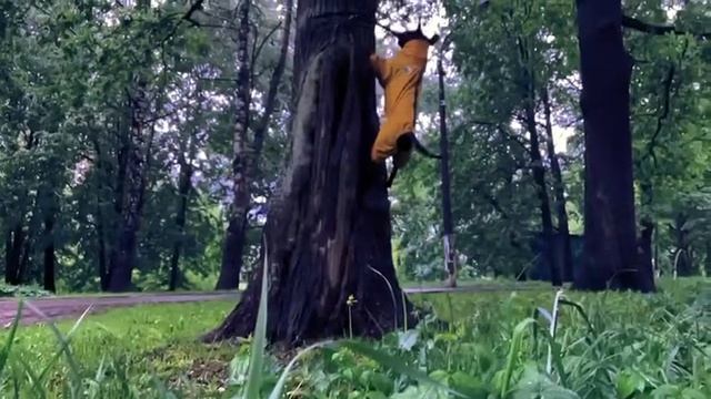 дождевик грязевик смотреть онлайн