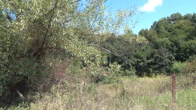 Солотвино 2016 Закарпатська здравниця подорож містечком смотреть онлайн