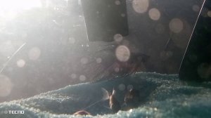 Мои новые рыбки🐟