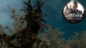 Ведьмак 3 без интерфейса - заказ #5 - Белая Дама