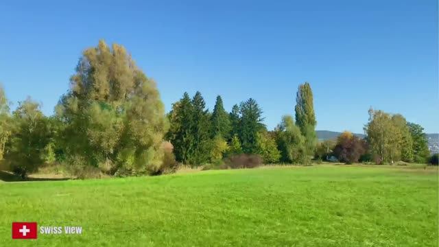 🇨🇭Захватывающий вид из окна швейцарского поезда ! Осень в Швейцарии🇨🇭 Из Кура в Цюрих