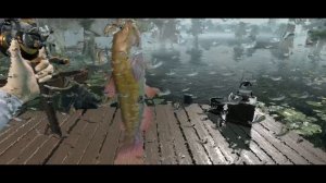 Fishing Master. Промокод.