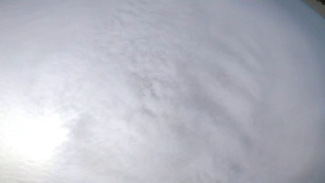 Chameleon at the Park смотреть онлайн