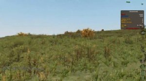 Как правильно умерeть в DayZ