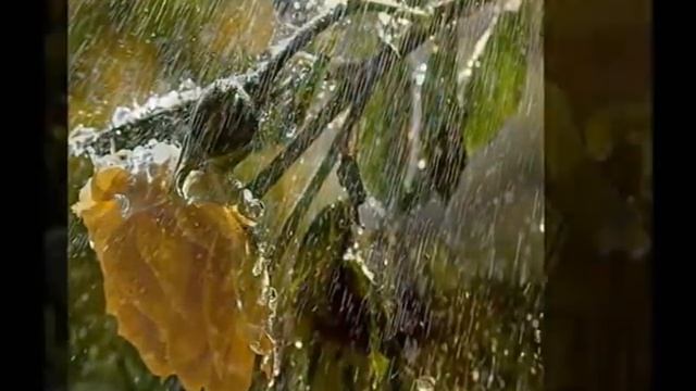 Мелодия дождя смотреть онлайн