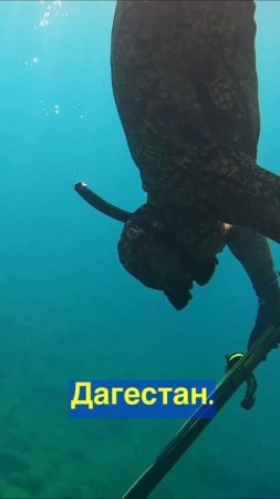 Океан в Дагестане - Подводная охота