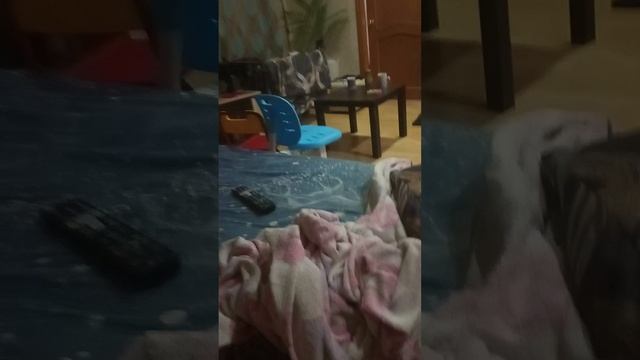 подпишитесь