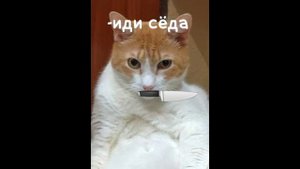 Борена риакция когда нет еды...🤣