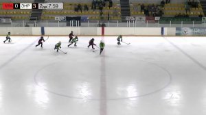 АВАНГАРД  2015  -  ЭНЕРГИЯ Кемерово 2016     РЕГУЛЯРНЫЙ ХОККЕЙНЫЙ ТУРНИР "СИБИРСКИЙ ПРОРЫВ"