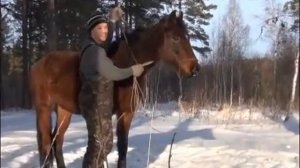 Кордео - обучалка