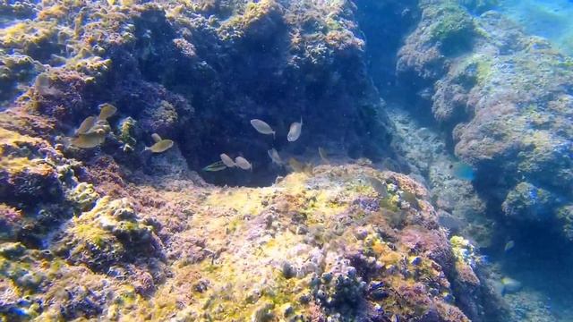 beautiful sea красивое море güzel deniz
