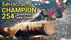 Сборка и краткий обзор бензиновой цепной пилы CHAMPION 254