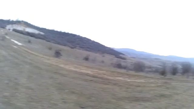 охота на шакала с манком