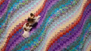 Лоскутные одеяла Bargello в интерьере