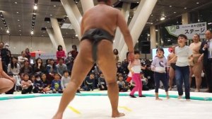 Kids vs Sumo Wrestlers (Chibikko Sumo)