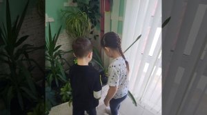 #Комнатный #растения