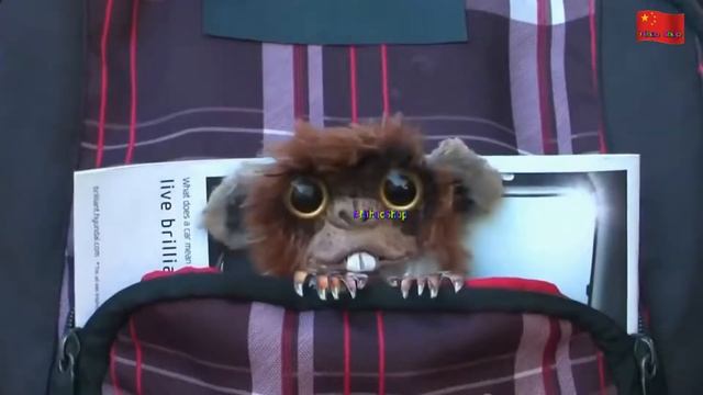 15  товаров с ALIEXPRESS