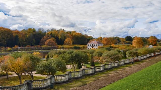 Красота детям. Плетнев Киреев