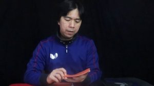 Butterfly Tenergy 19