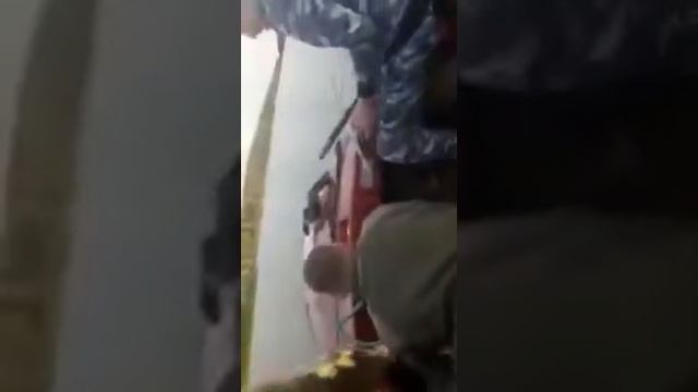 Белый лебедь на пруду )))