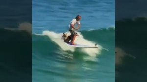 Мужик и два пса на доске по волнам