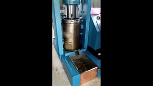 Работа маслопресса DY-200L