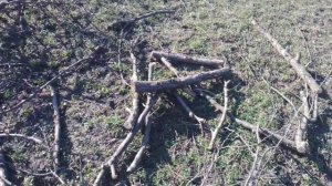 аккумуляторная цепная мини пила ТехАс,честный отзыв