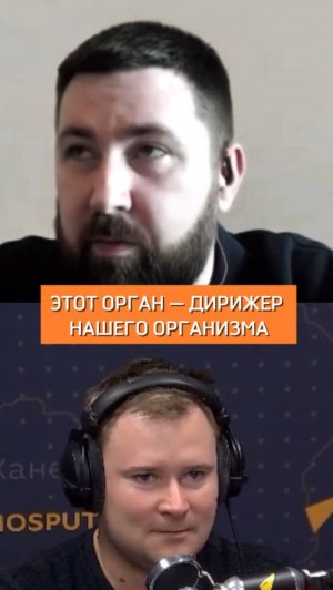 Этот орган – дирижер нашего организма?