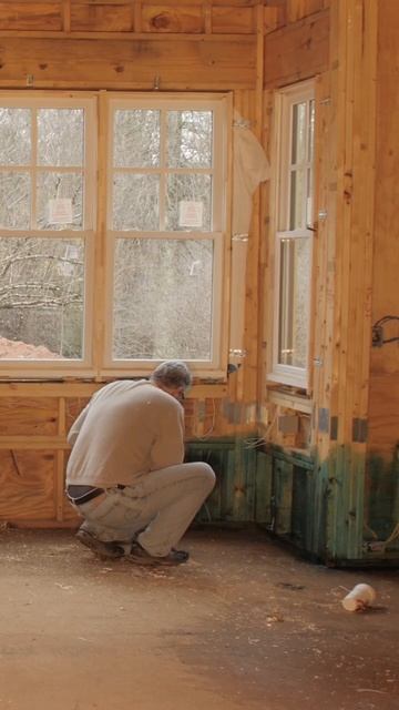 Wood boring beetles treatment tips from Domyown.com #pestcontrol