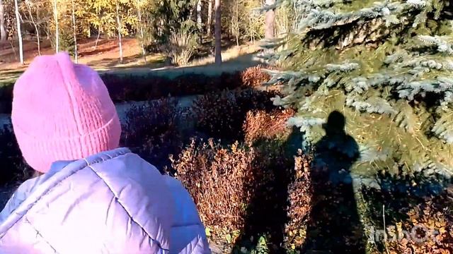 Польша страна Дворцов. Стрельба в лесу🤨 смотреть онлайн