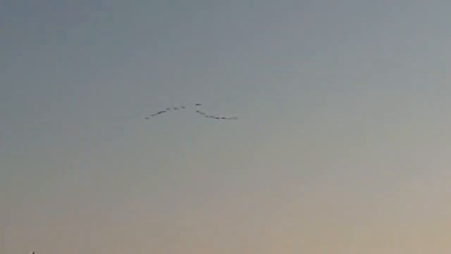 Журавли смотреть онлайн