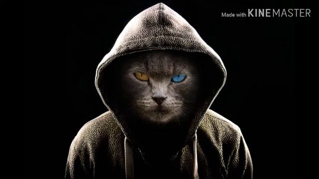 первая моя музика зделаная руками господи не слушайте