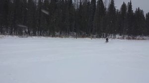2014 Freeride 137