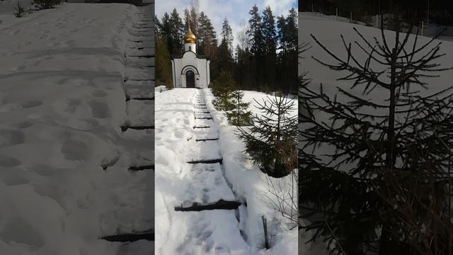 7 марта, севернее Питера ещё снега.