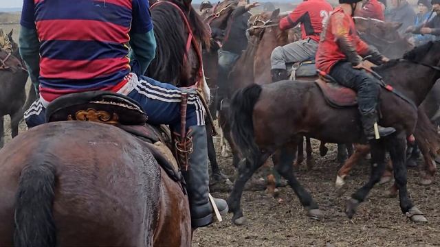 Ростов-на-Дону 🐴🔥