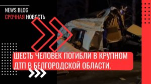 Шесть человек погибли в крупном ДТП в Белгородской области. Столкнулись автобус и микроавтобус