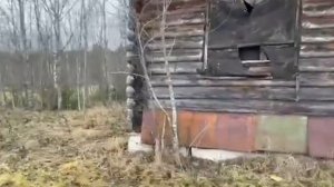 VID-20250307-WA0033.mp4