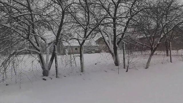 #Зимапришла#     29 декабря пришла зимушка Зима.