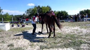 Endurance Iatski. Дистанционные конные пробеги