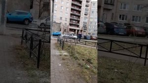 Окраина Санкт-Петербурга, марта 7го,2025 годъ
