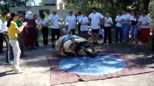 Японская борьба Сумо