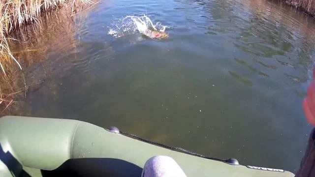 Щука, окунь, РОТАН. Три хищника смотреть онлайн