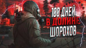 100 ДНЕЙ В ДОЛИНЕ ШОРОХОВ STALKER ANOMALY ANTHOLOGY