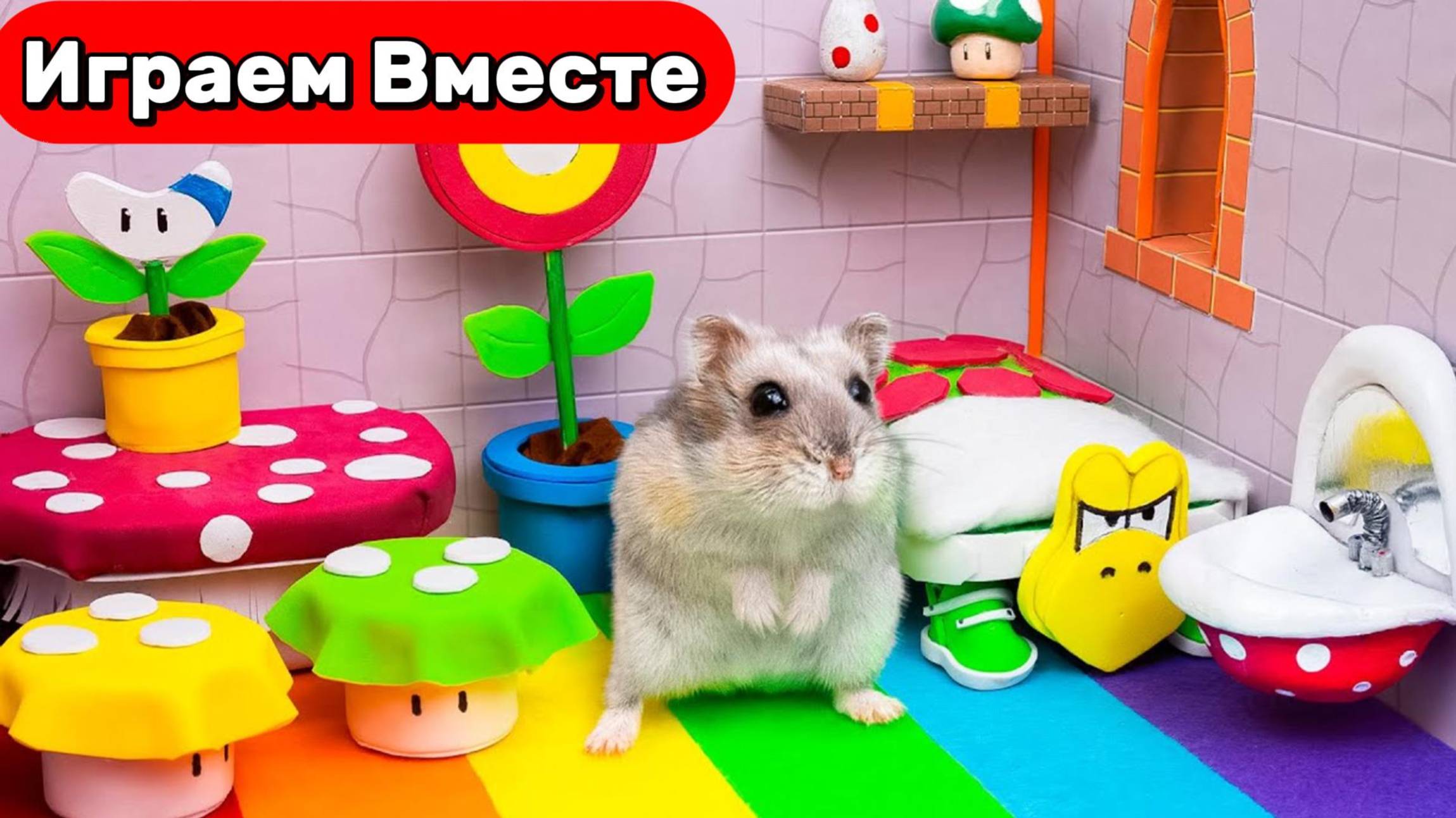 Умный Хомяк попал в лабиринт и мультика ! МАРИО ! Видео для детей