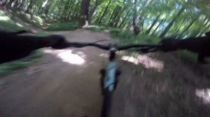 DH Филёвский парк trail Cахарок 21.06.19
