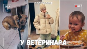 ВЛОГ №3534: У ветеринара |Достали самокаты! | Тревожный день 05.03.25